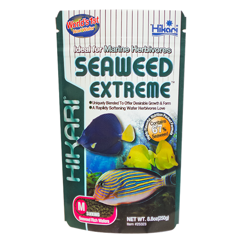 Hikari Seaweed Extreme Medium Pellet Fish Food