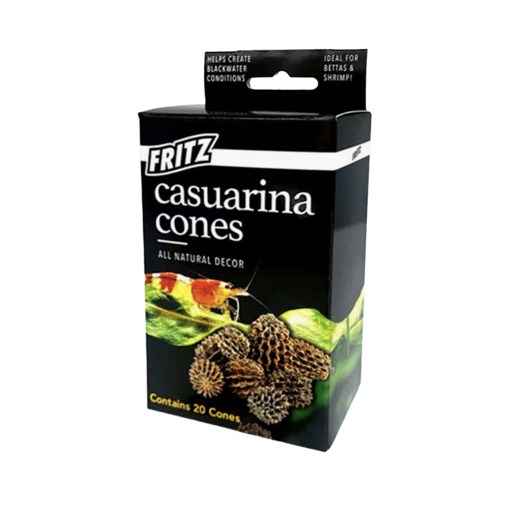 Fritz Casuarina Cones - 20 pack