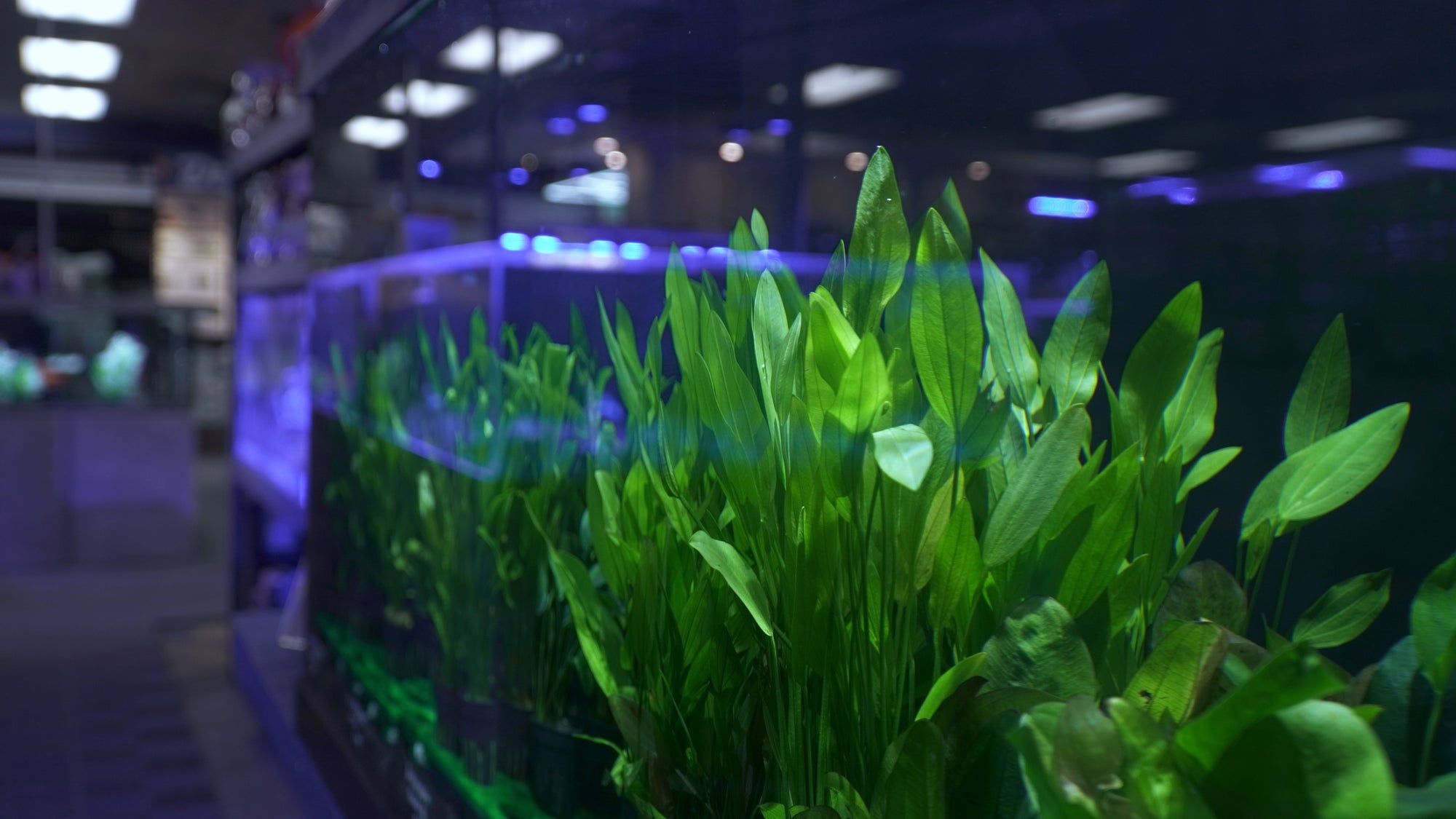 Aquarium & Reptile Depot