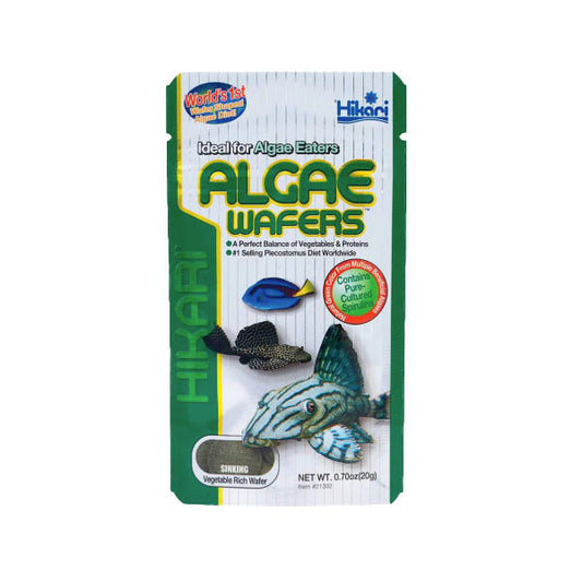 Hikari Algae Wafers Fish Food