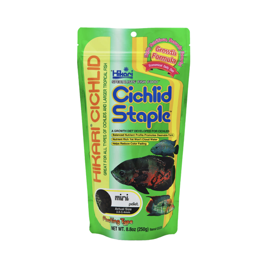 Hikari Cichlid Staple (Mini Pellet) - 8.8 oz.