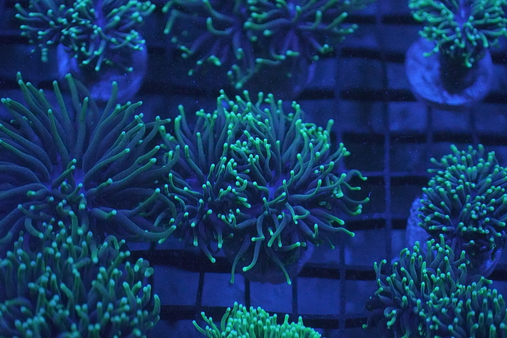 Aquarium & Reptile Depot